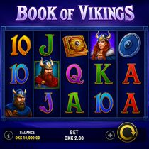 IviBet - Book of Vikings Slot Game